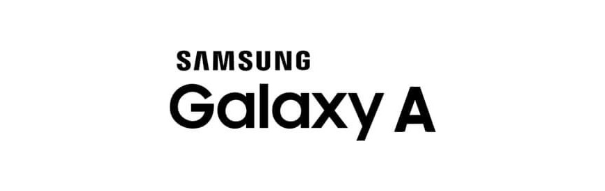 Galaxy A80 SM-A805F/DS